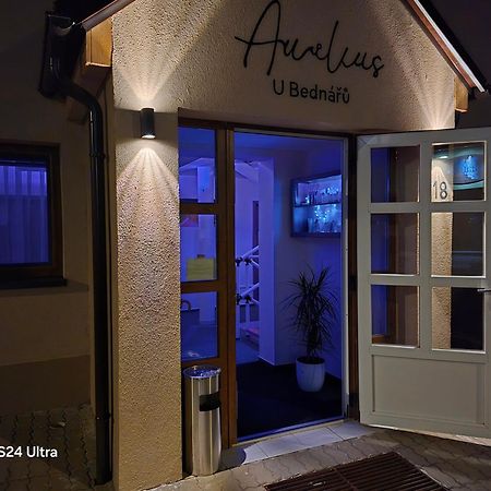 Penzionu Aurelius U Bednaru 巴甫洛夫 外观 照片